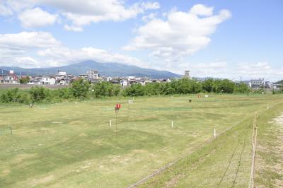 コミュニティ交流広場パークゴルフ場の画像1