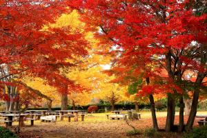 四季の里　緑水苑　紅葉