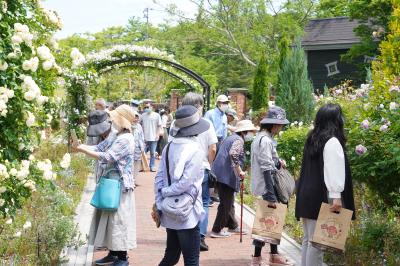 英国庭園のバラを楽しむ来場者